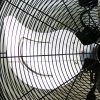 DMS Industrial Fan, Wind Machine, Floor Fan, Indoor Fan, Drum Fan, 3 Speed Settings, Diameter 60 cm, 180 Watt, 10,000 m3/h, Black - Image 3